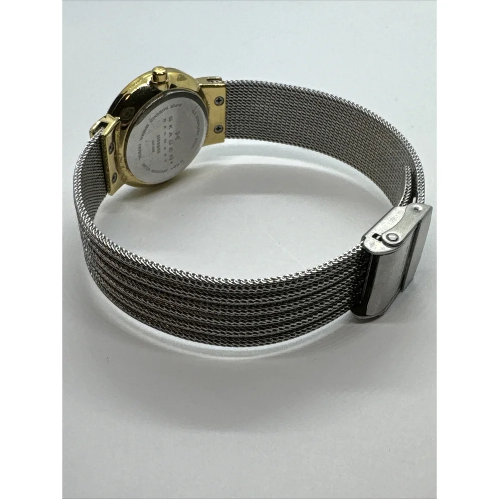 Skagen 355SGSS Women Silver Stainless Steel Mesh Analog Dial Wrist Watch JNA886